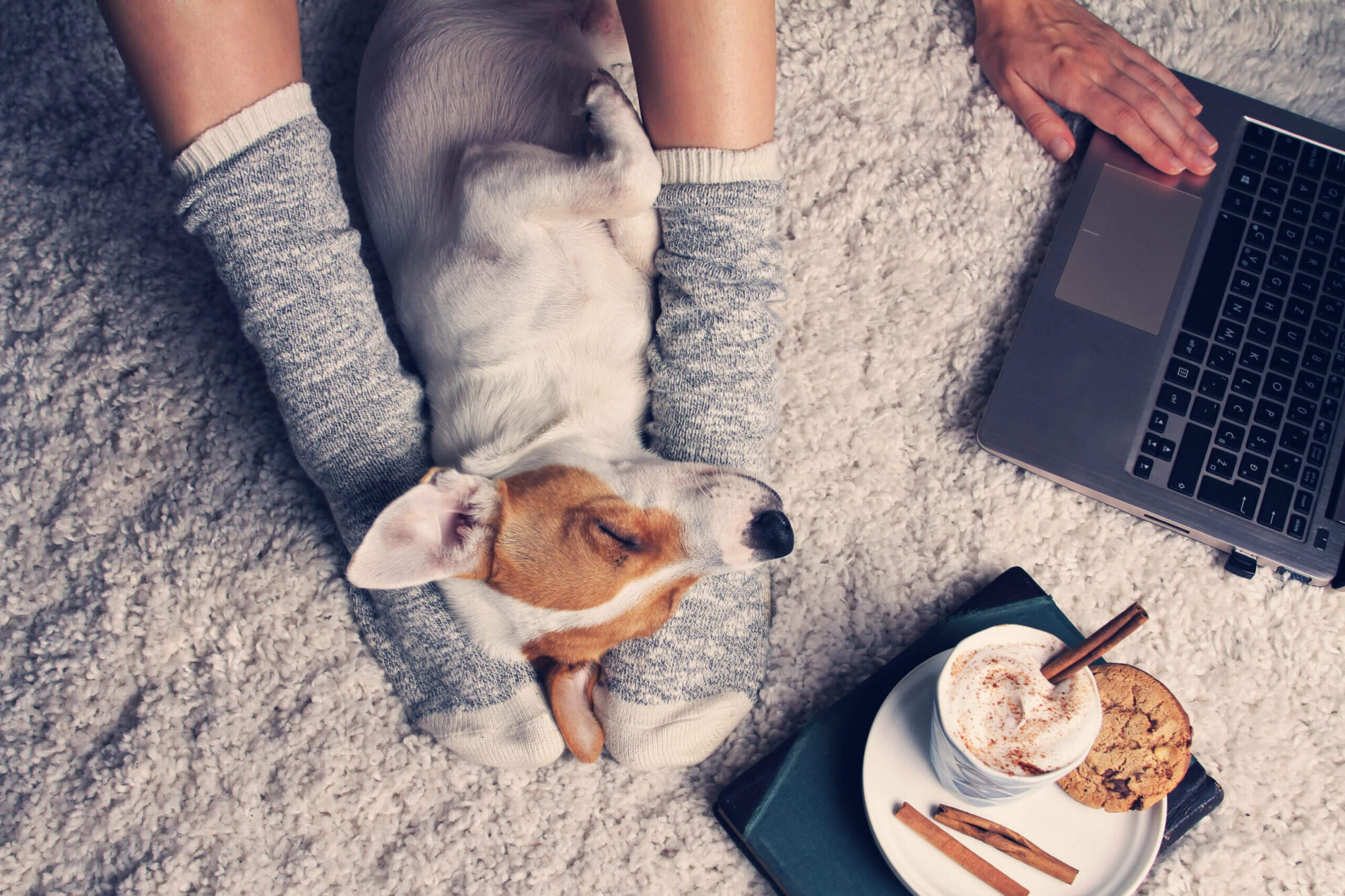 Young woman and her dog sitting on the floor with laptop and coffee